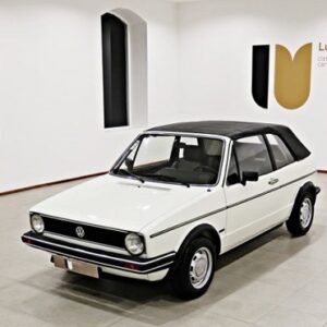 1981 Volkswagen Golf I Cabrio (A1 Typ 17) Service And Repair Manual