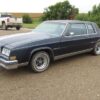 1981 Buick LeSabre Service and Repair Manual - Image 2