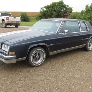 1981 Buick LeSabre Service and Repair Manual