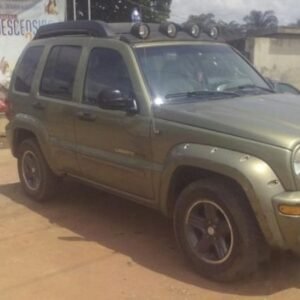 2005 Nissan Liberty Service And Repair Manual