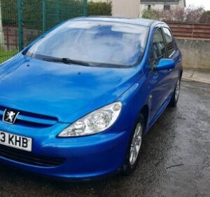 2003 Peugeot 307 Service And Repair Manual