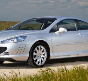 2009 Peugeot 407 Service And Repair Manual