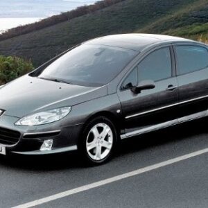 2010 Peugeot 407 Service And Repair Manual