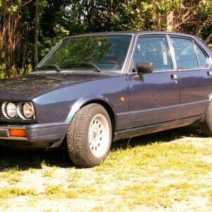 1985 Alfa Romeo Alfetta Service and Repair Manual