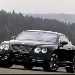 2008 Bentley Continental GT Service and Repair Manual