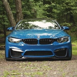 2018 BMW M4 F83 Convertible: Workshop Service Repair Shop Manual Drop-Top Technical Compendium (PDF)