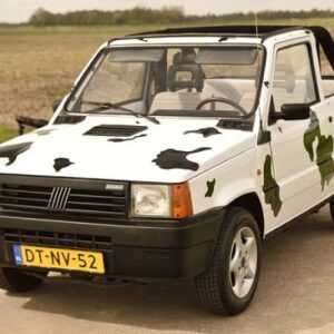 1992 Fiat Panda Service and Repair Manual